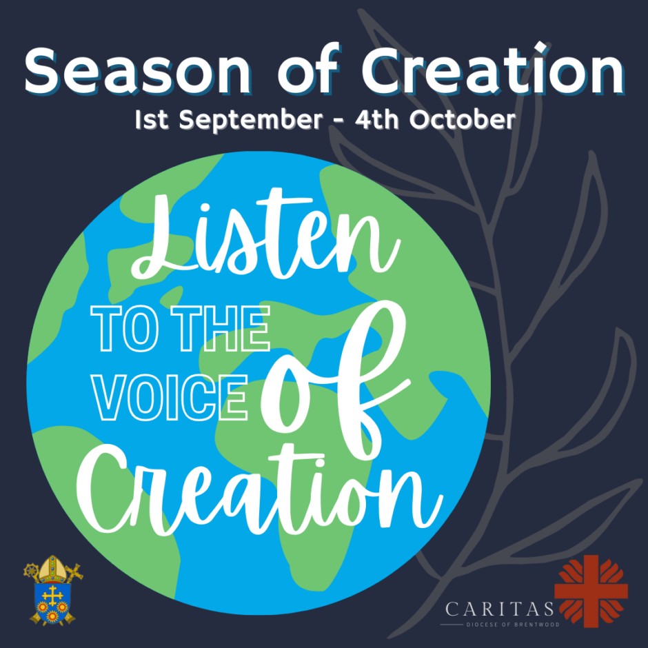 The Season of Creation Caritas Diocese of Brentwood